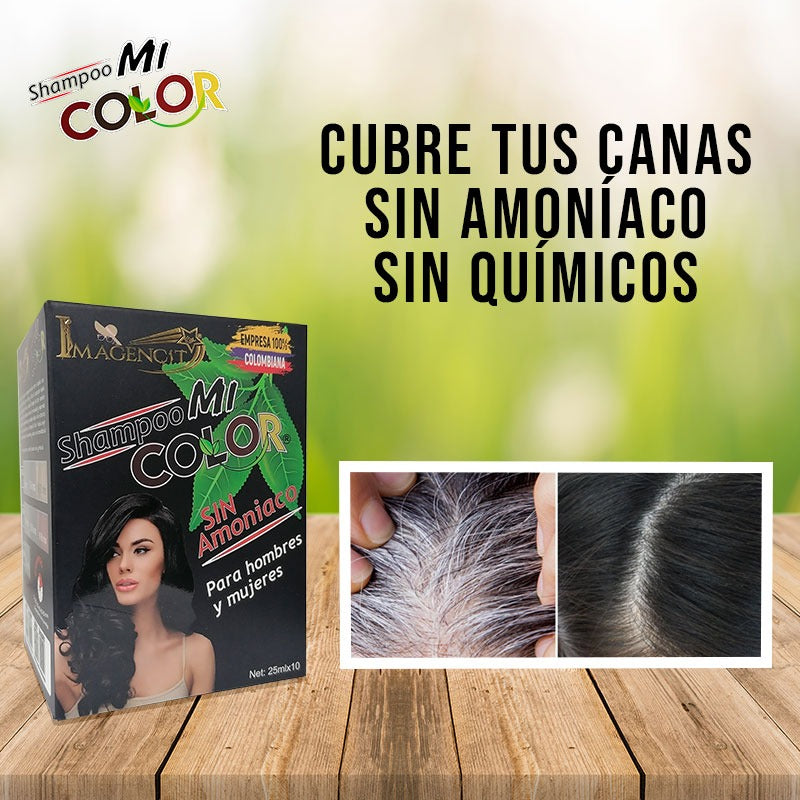 SHAMPOO CUBRE CANAS  NEGRO